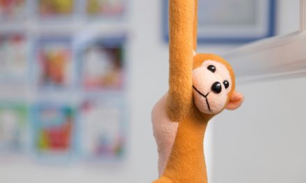 Brașovul este candidat oficial la titlul de „Localitate prietenă a copiilor”